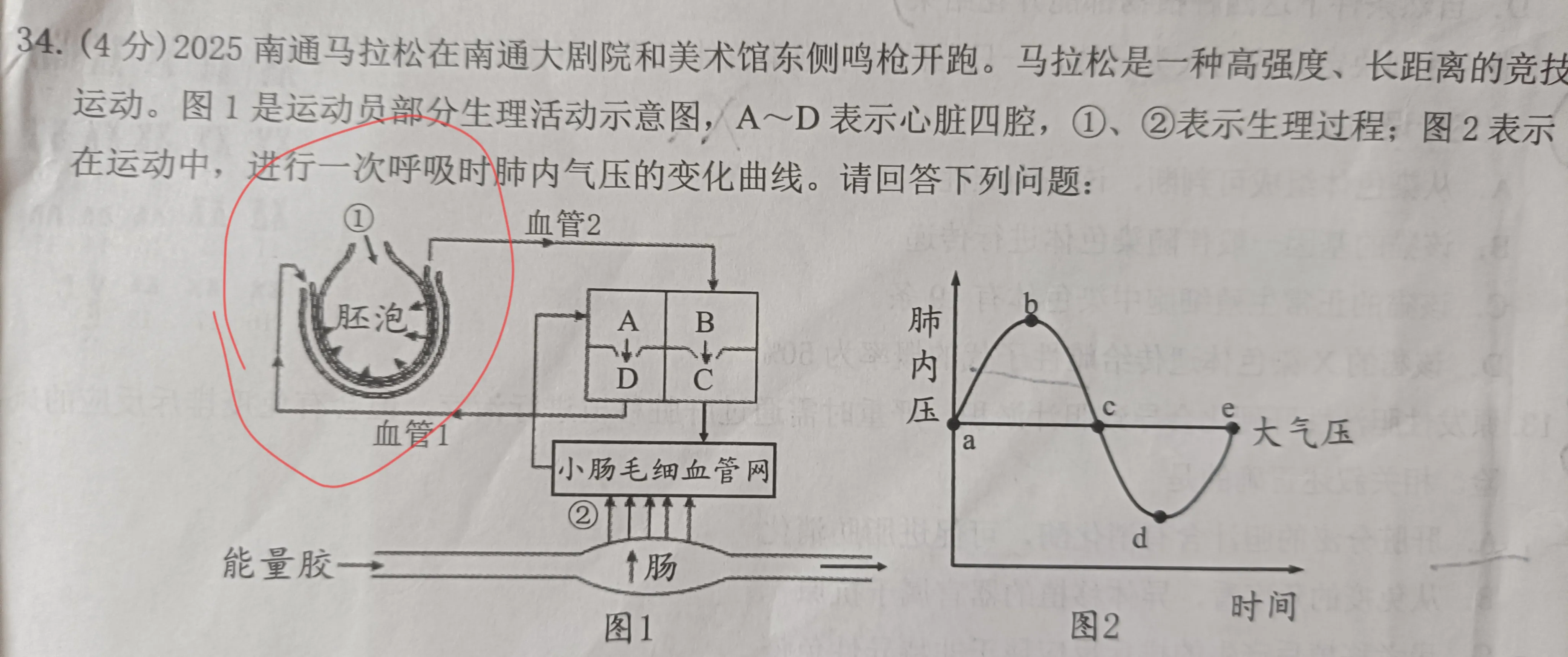 生物